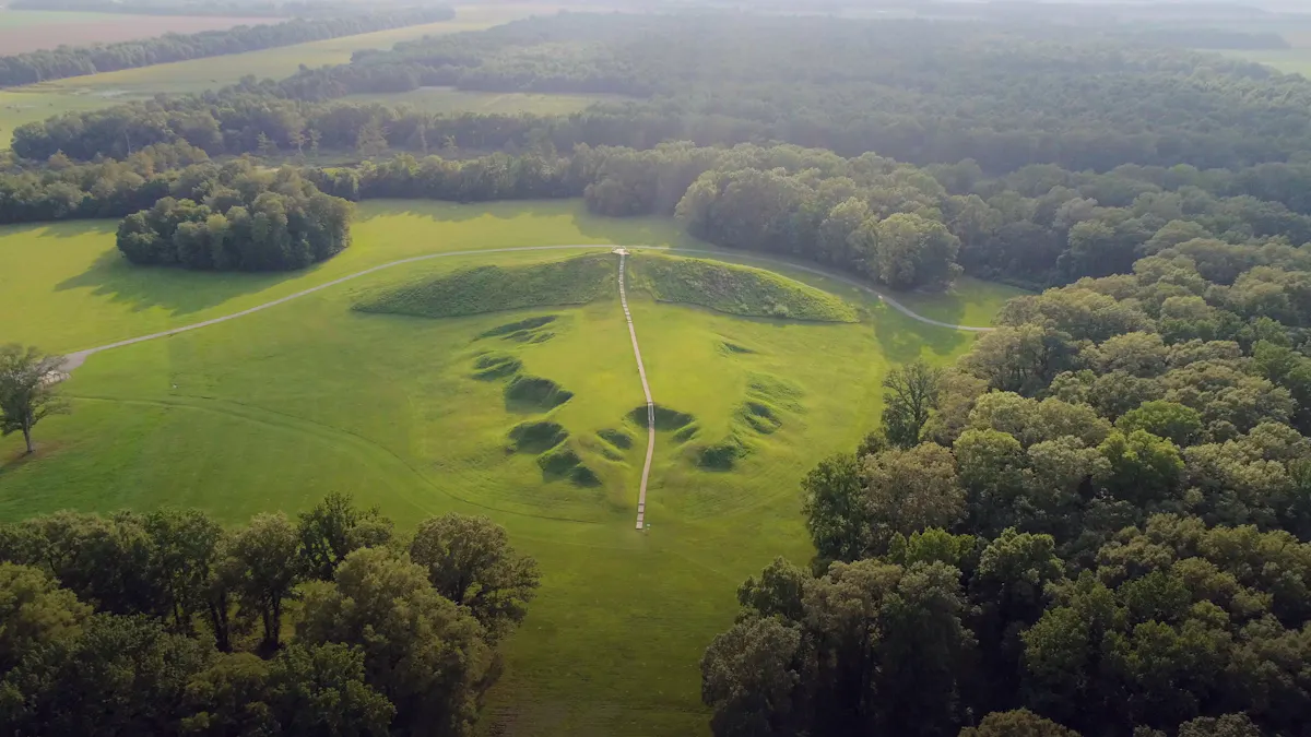 MISSISSIPPI RIVER STILL POVERTY POINT 02