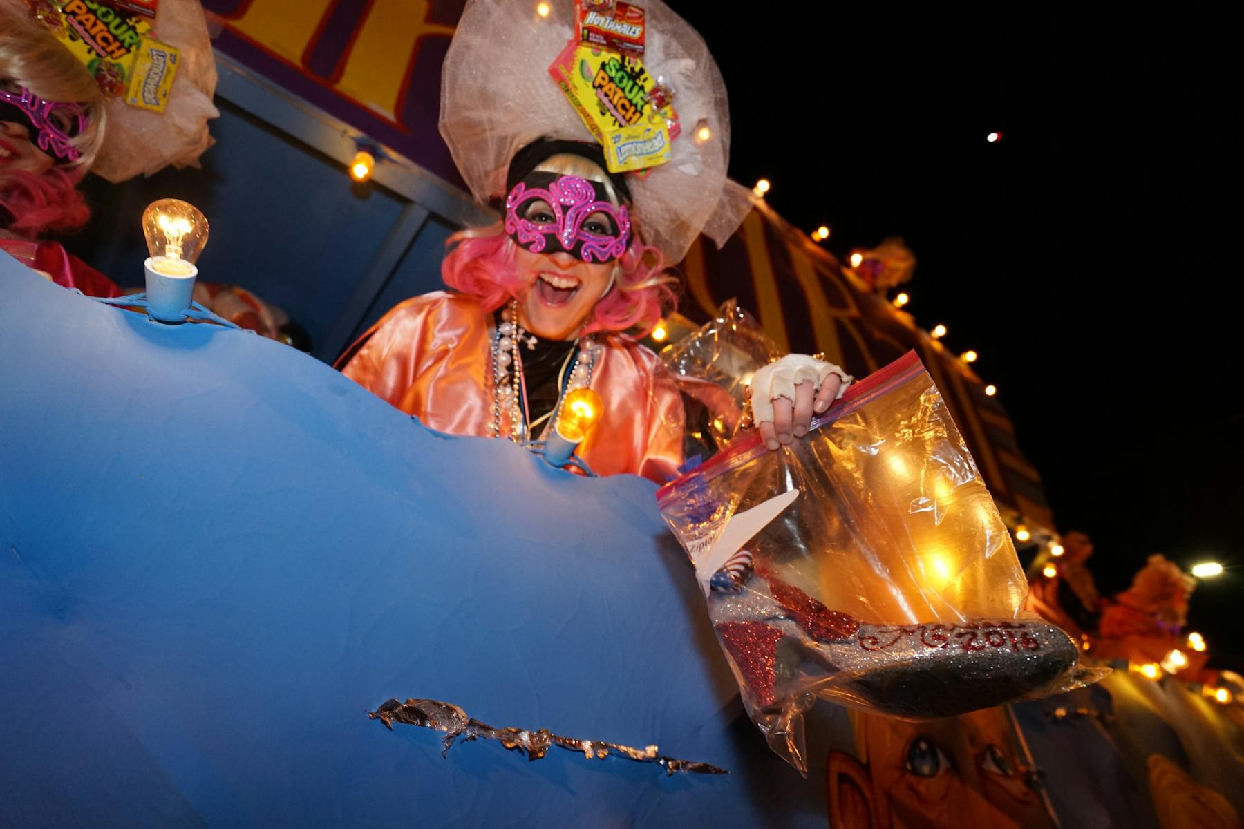 Mardi Gras by Paul Broussard 14 1