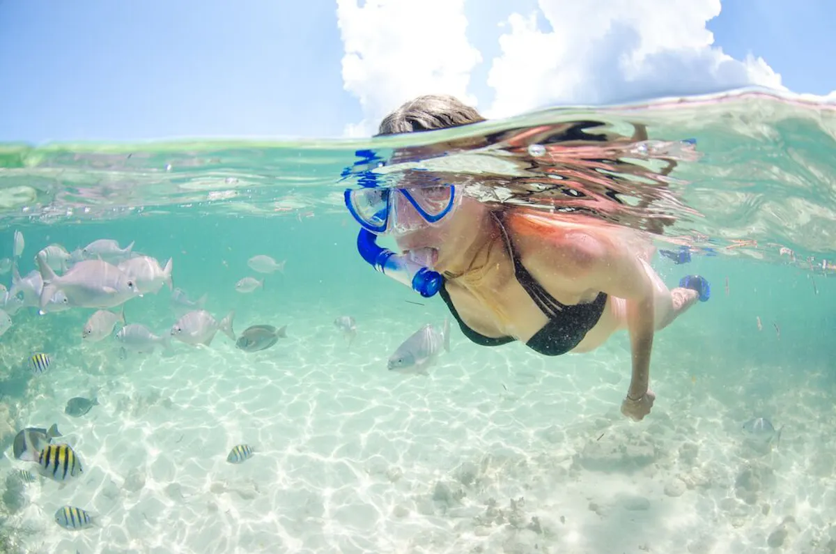 Medium Snorkelling GCM2