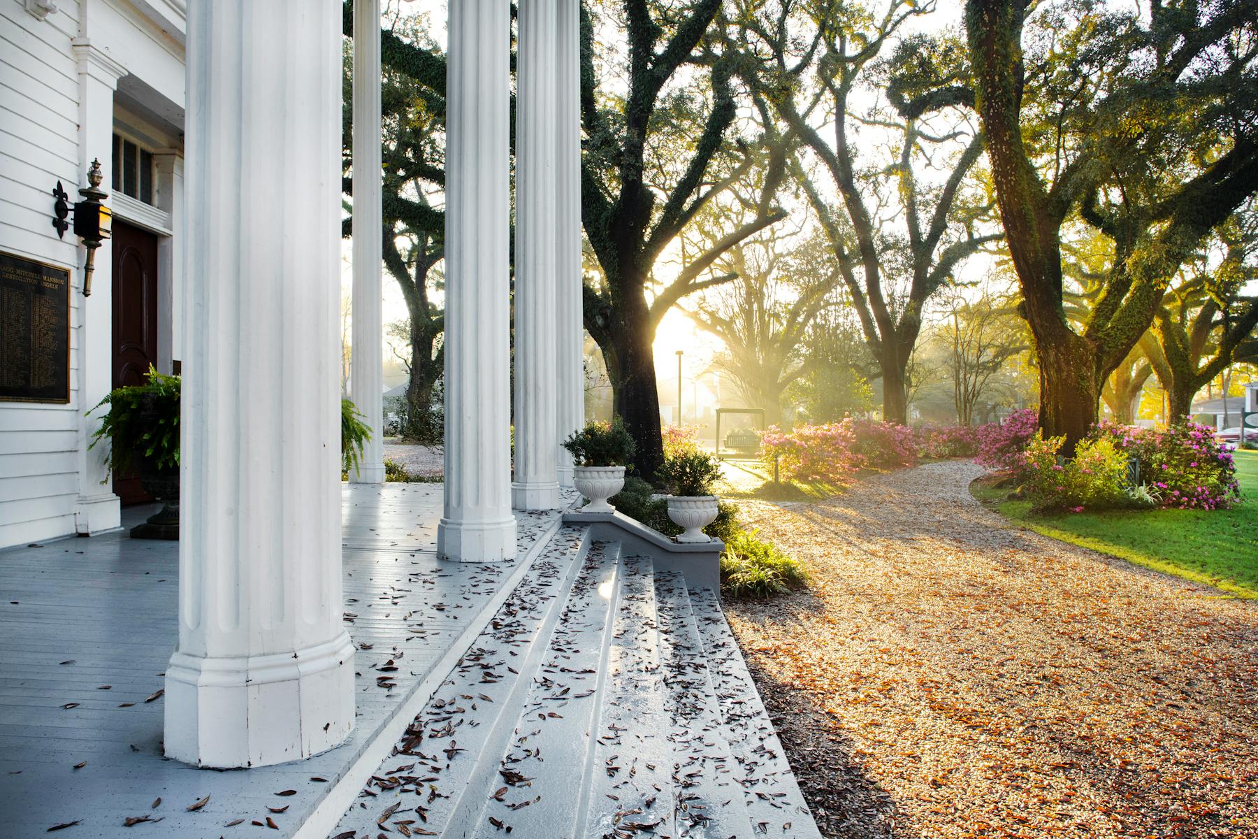 Mobile Azaleas Foto Art Meripol