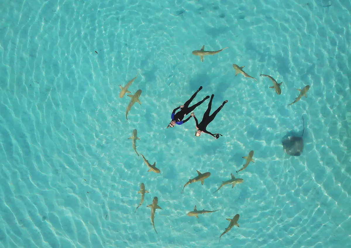 Moorea Haie
