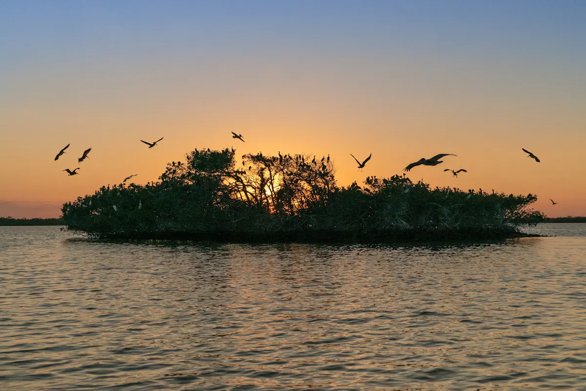 Naples Marco Island Everglades CVB 10000 Islands Vogelparadies