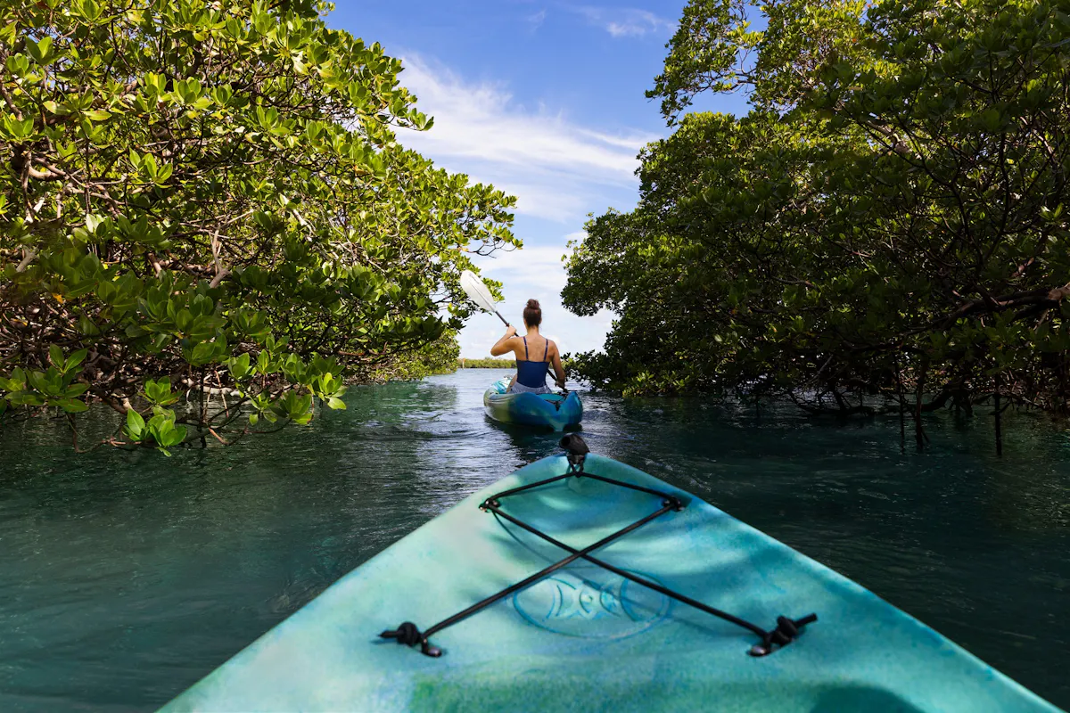 Naples Marco Island Everglades CVB 10k Islands Kayaking