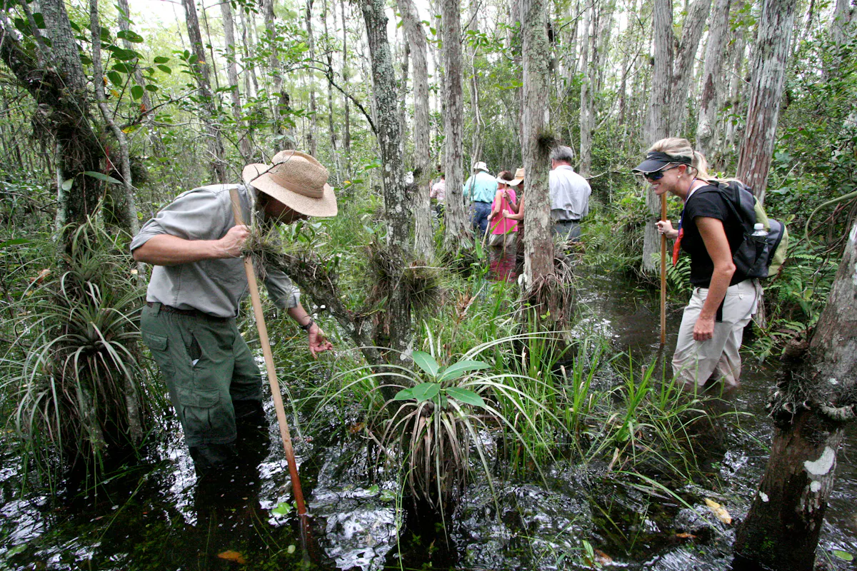 Naples Marco Island Everglades CVB Everglades Sumpf Tour