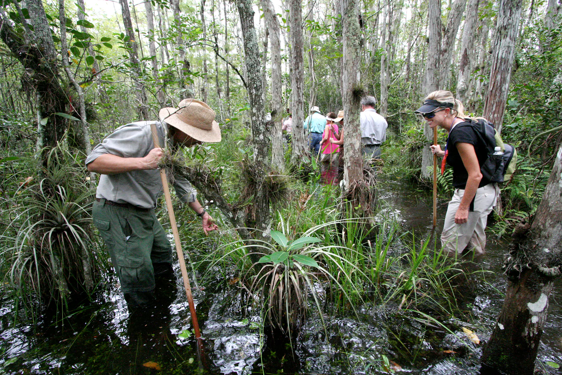 Naples Marco Island Everglades CVB Everglades Sumpf Tour2