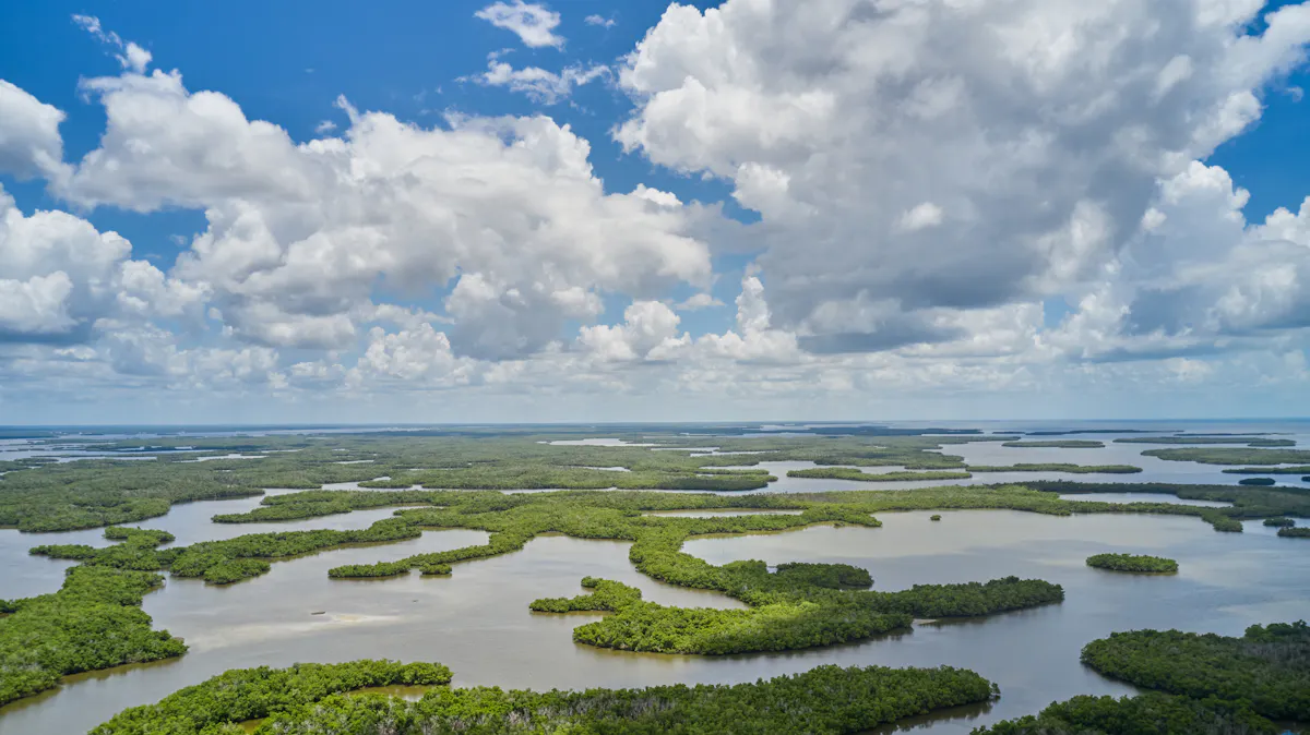 Naples Marco Island Everglades CVB Inselwelt