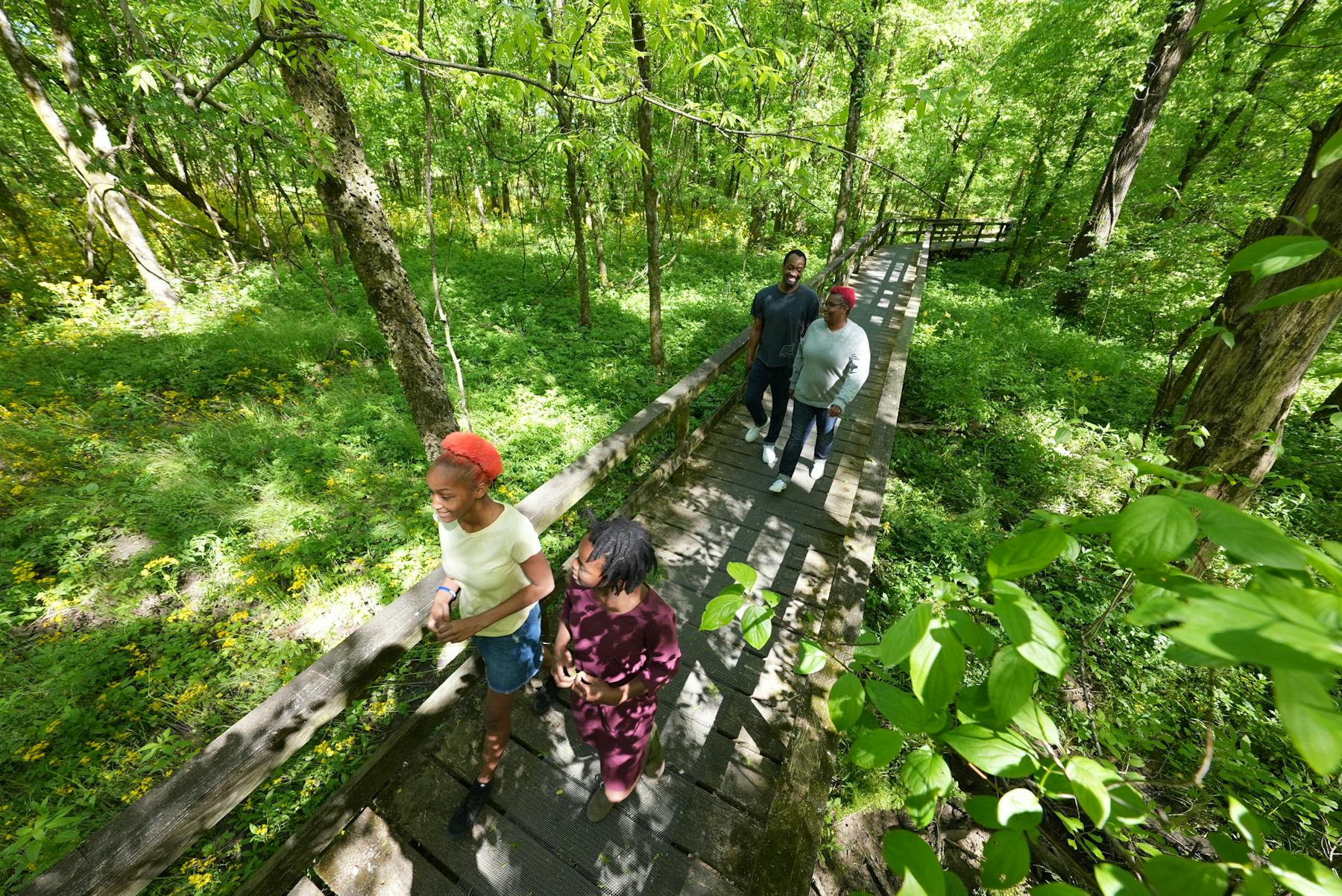 Natchez Trace Parkway Nature