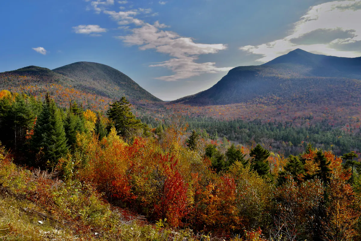 New Hampshire Waelder