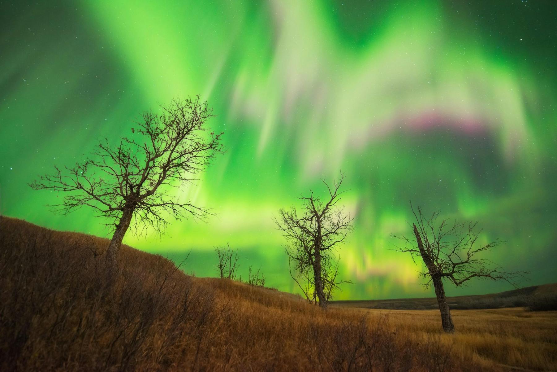 Northern Lights Wascana Trails Credit Scott Aspinall