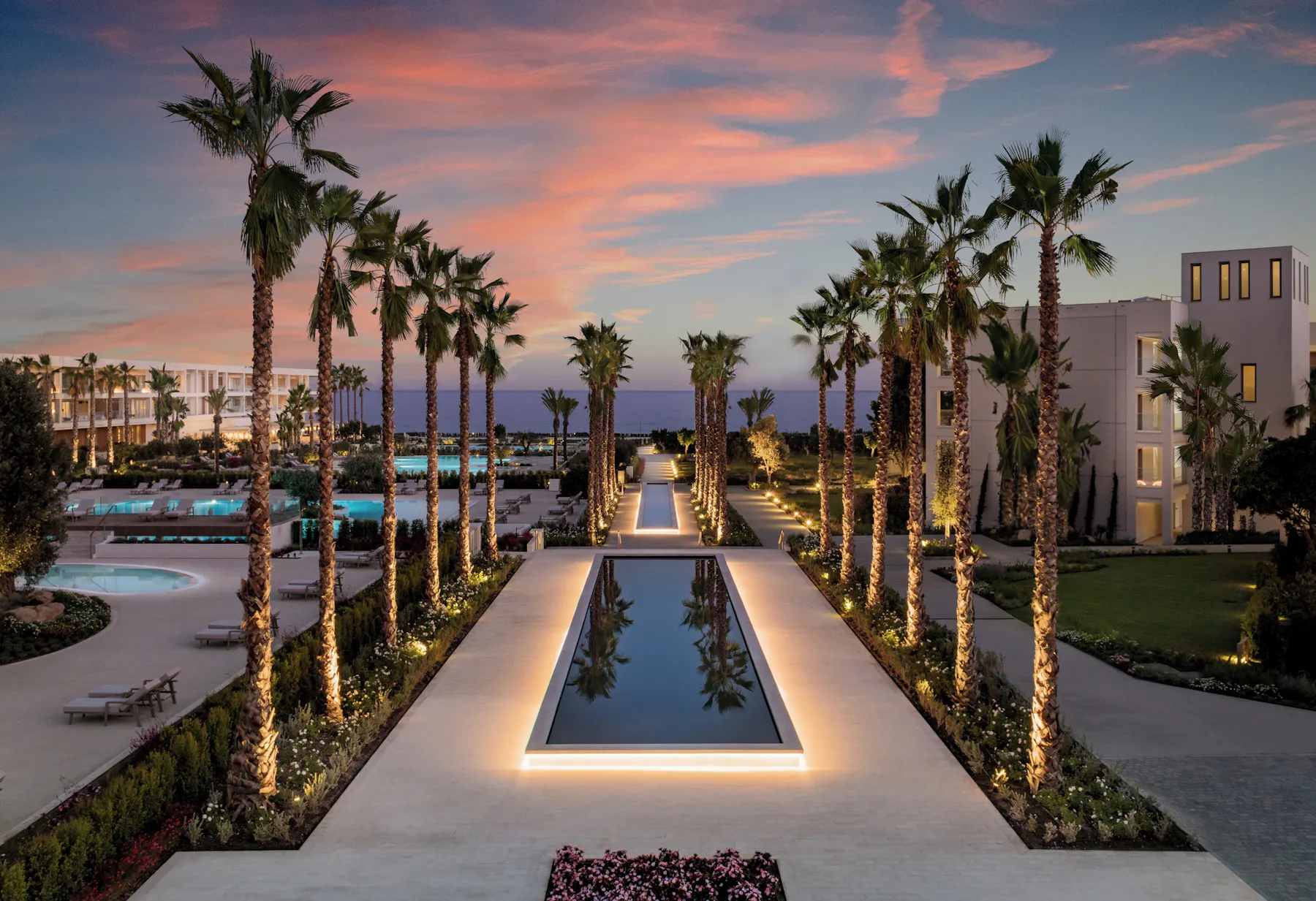Palm Pool