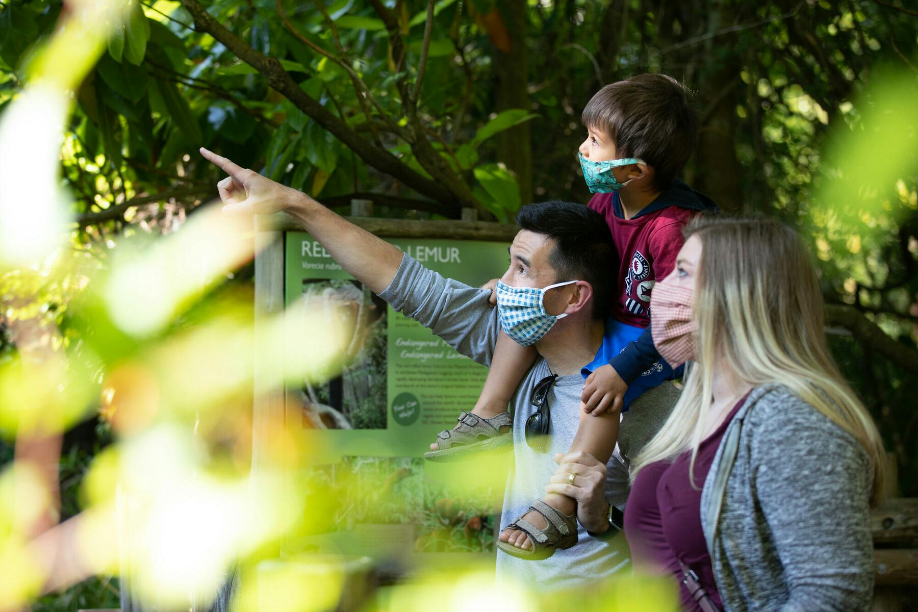 RS39389 2020 07 10 mask family photos 13 phi