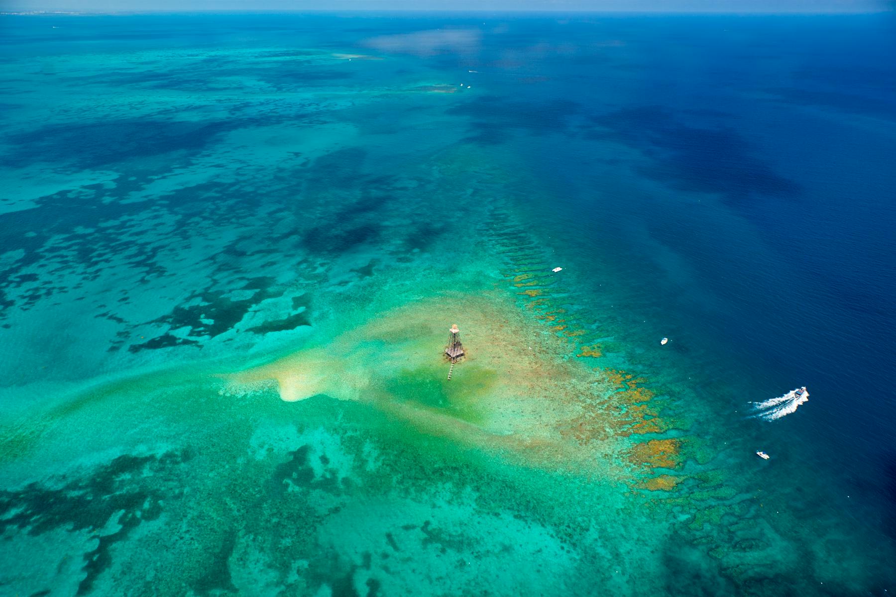 Sand Key Reef c by Rob ONeal5