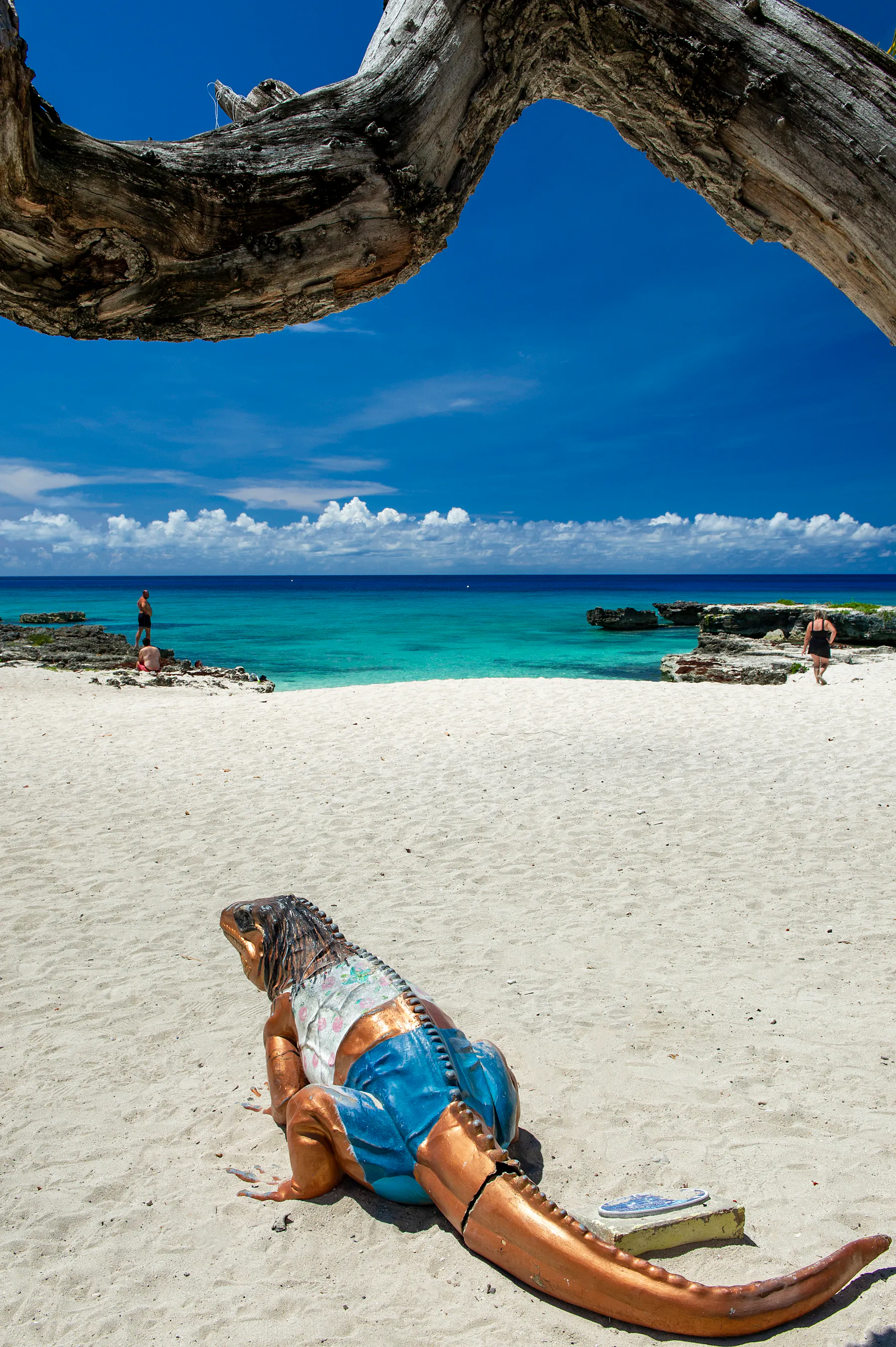 Smith Barcadere c Cayman Islands Department of Tourism 9
