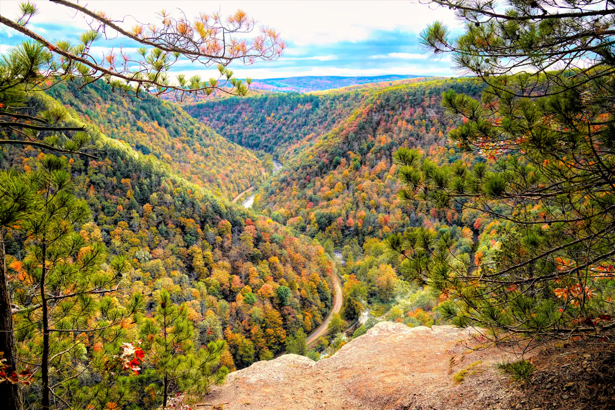 Stager Canyon Pine Creek Gorge Credit Visit Potter Tioga