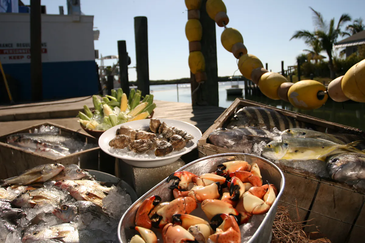 Stone Crab Claws 1908 rgb l Bradenton Area CVB