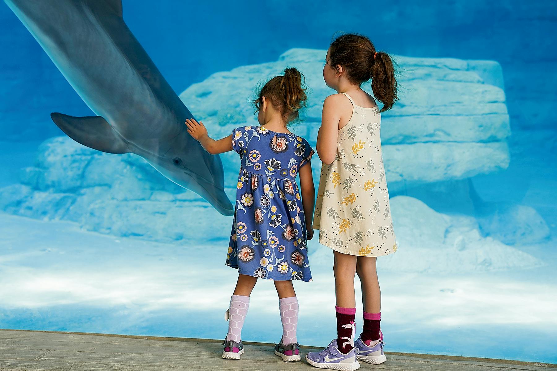 TA 5thingswithkids080520 NPCC2