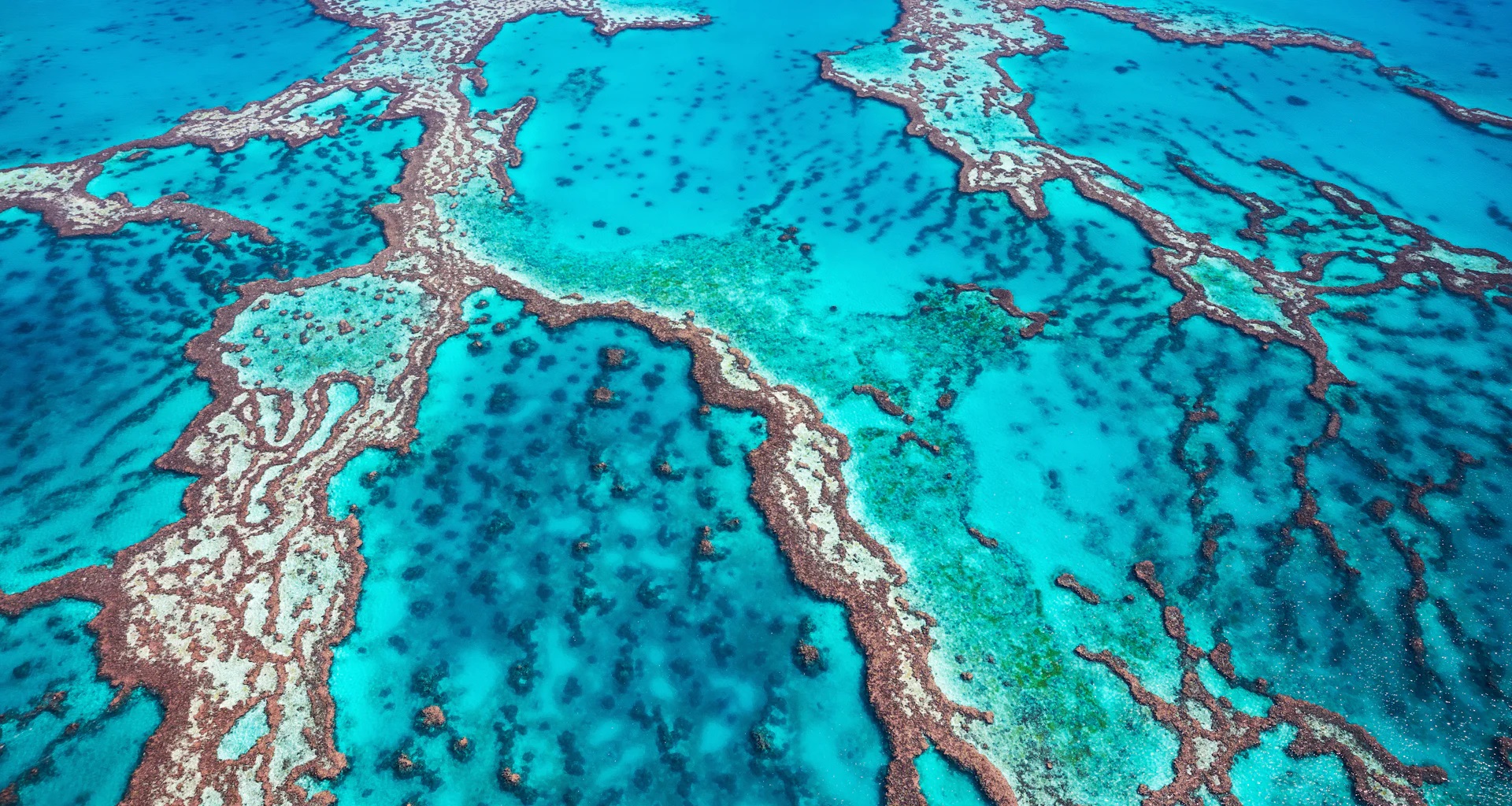 Teaser Australia3