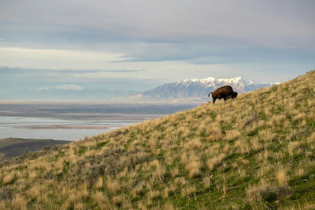 Unsplash Antelope State Park Utah
