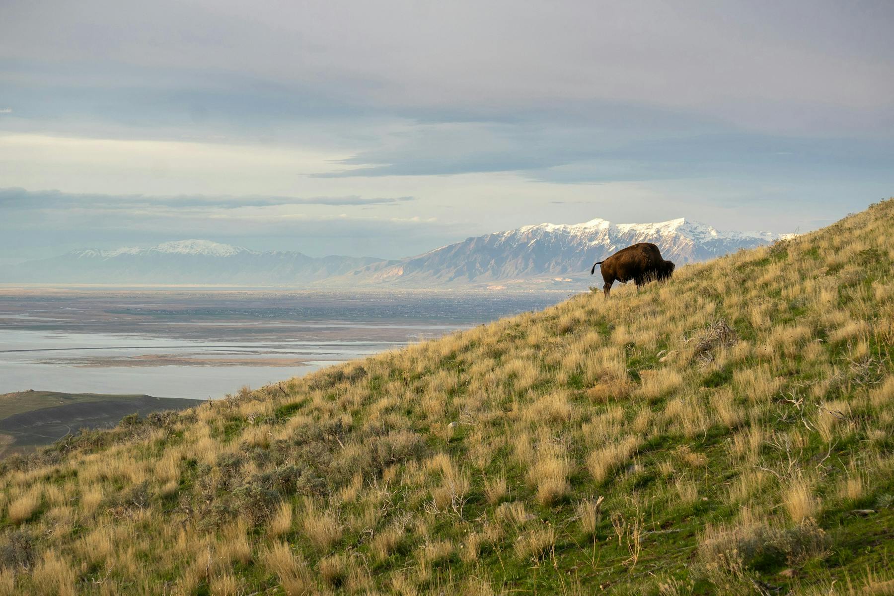 Unsplash Antelope State Park Utah