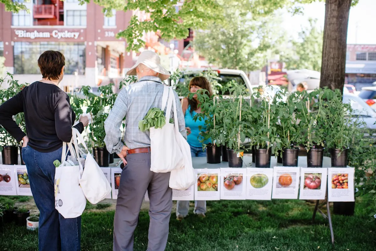 VSL Farmers Market Austen Diamond Photography 2 1 1