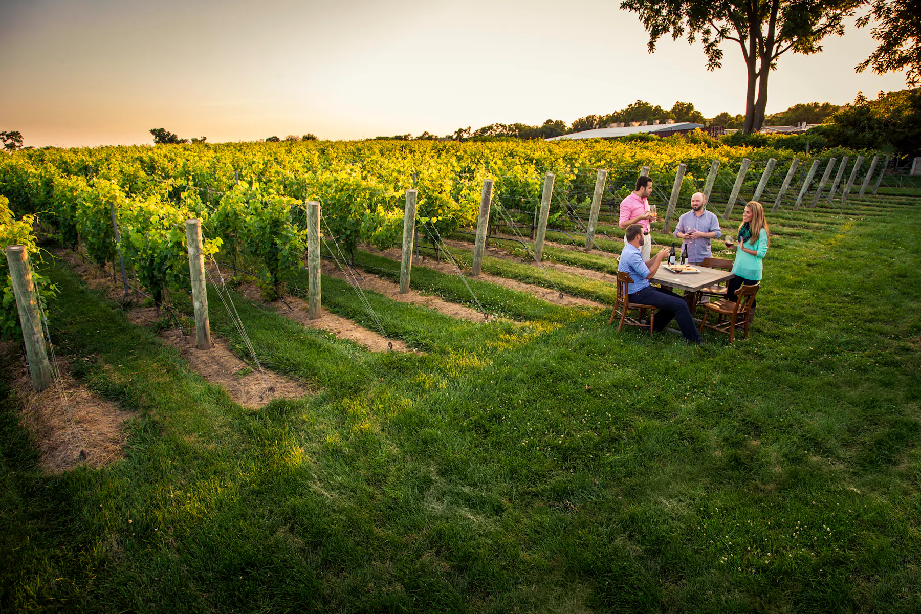 Vala Vineyard Winery