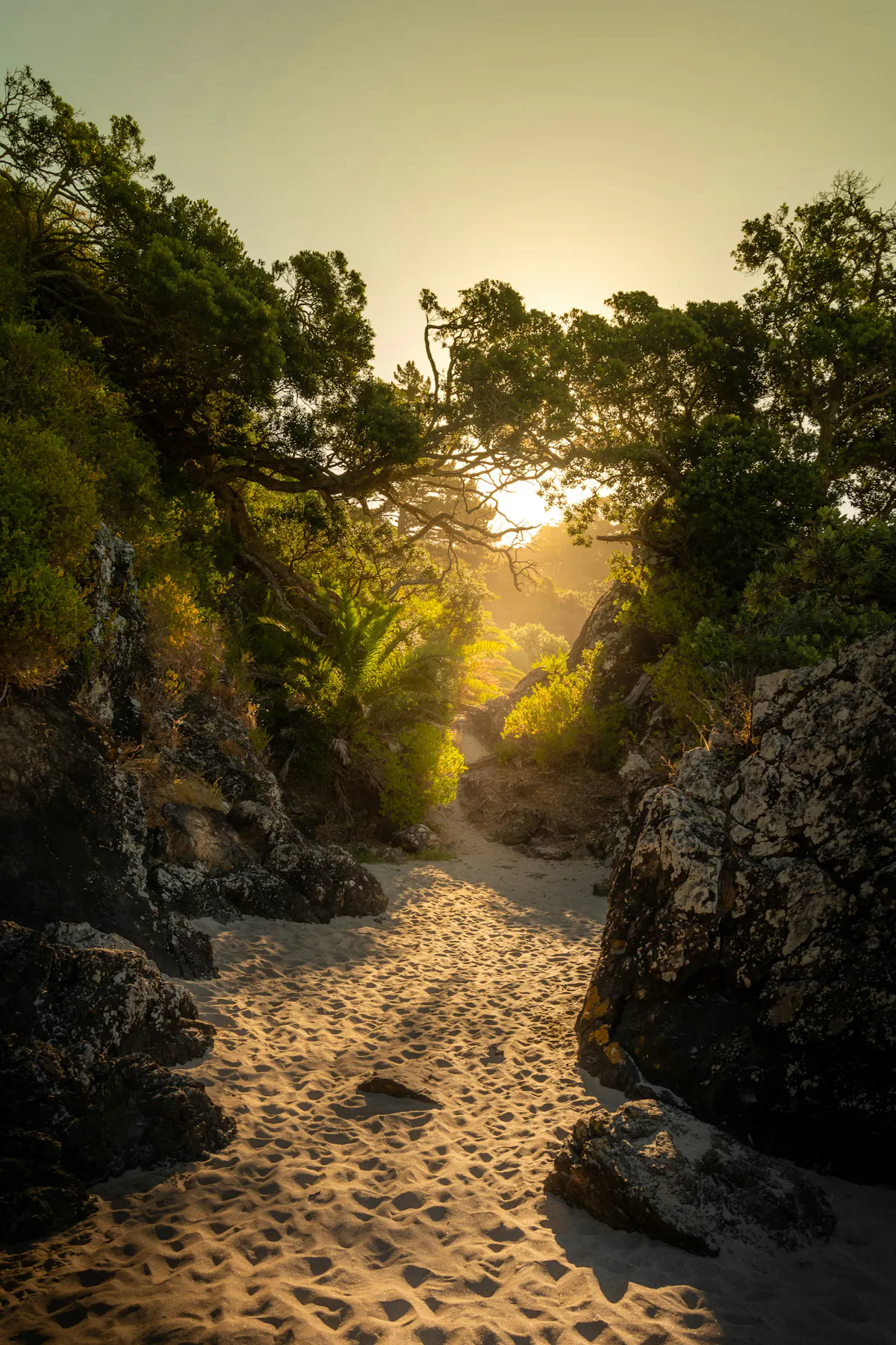 Waiheke Island 1
