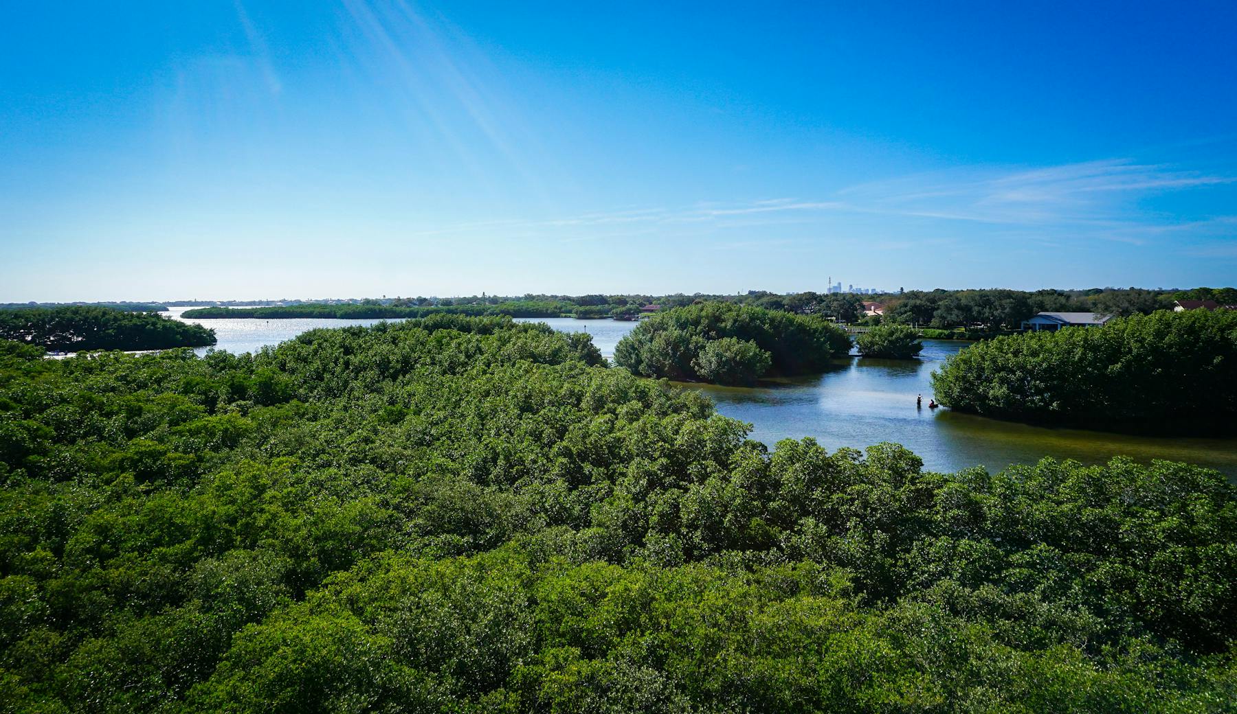 Weedon Island Preserve