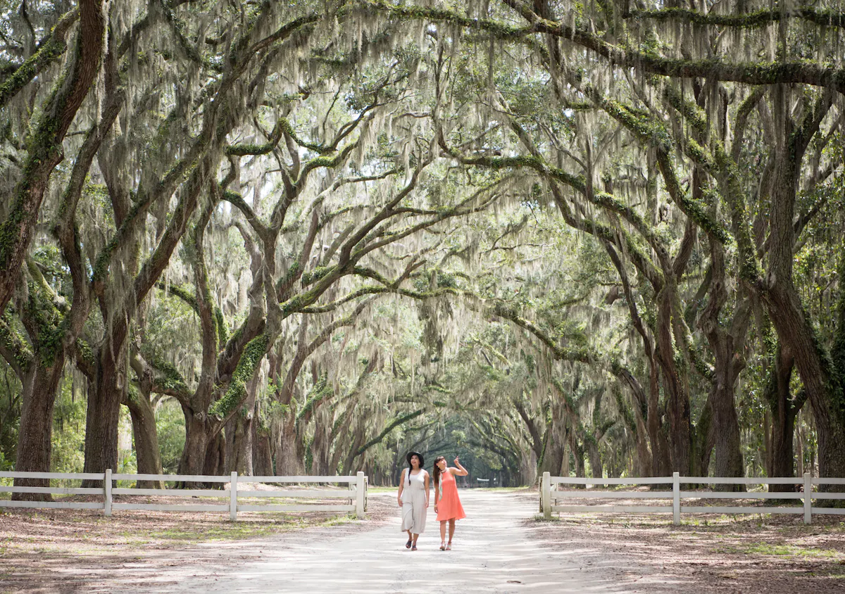 Wormsloe historic Site hero image