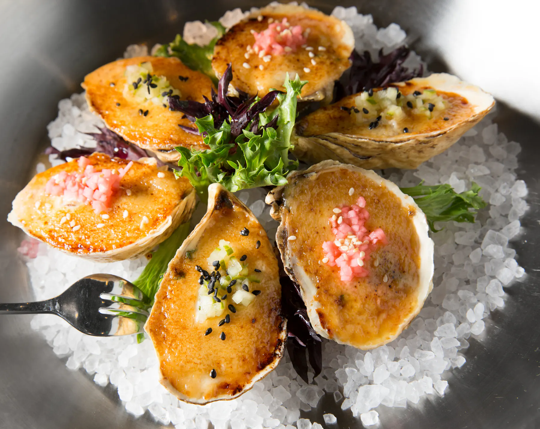 YARA Miso Oyster c Cayman Islands Department of Tourism