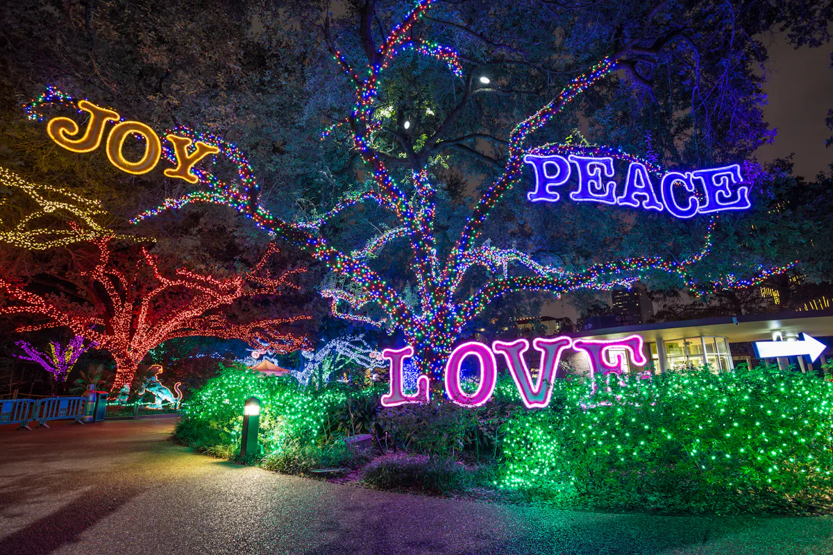 Zoo Lights 4