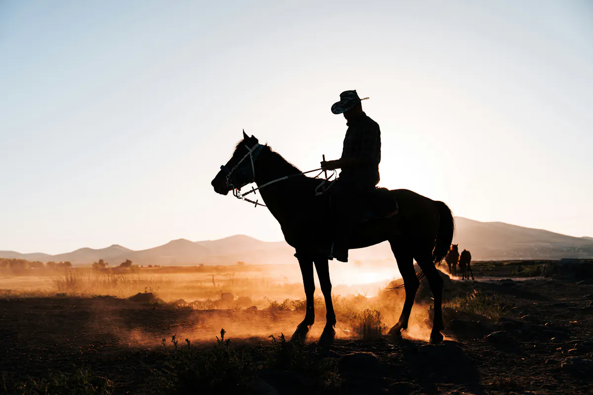 ahmed R ZuMO8Zx34 unsplash5