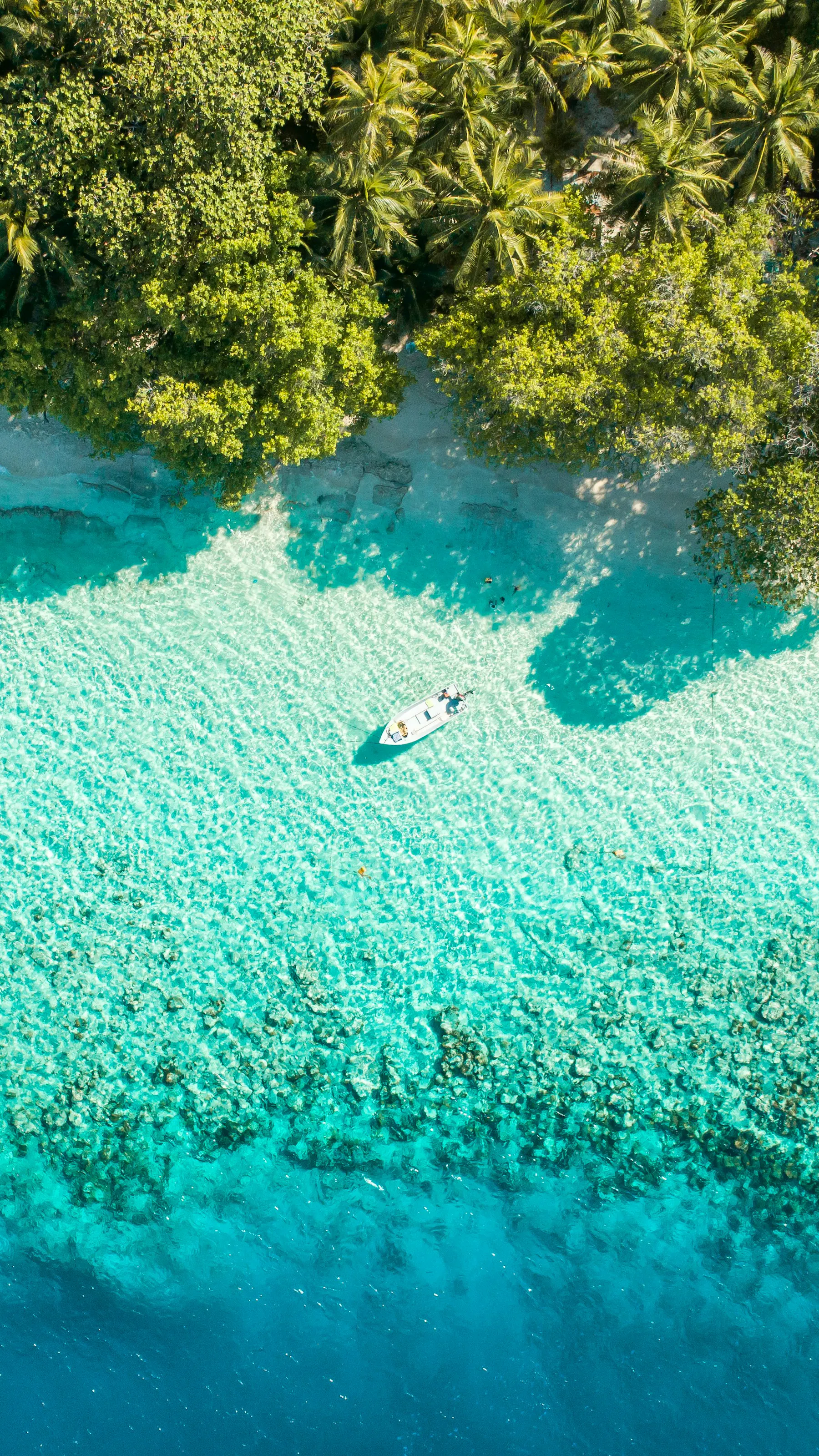 ahmed yaaniu 05A3CzImkhw unsplash