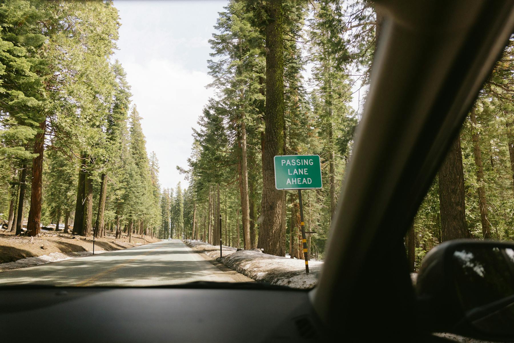 annie spratt W8RPYfjlI2A unsplash