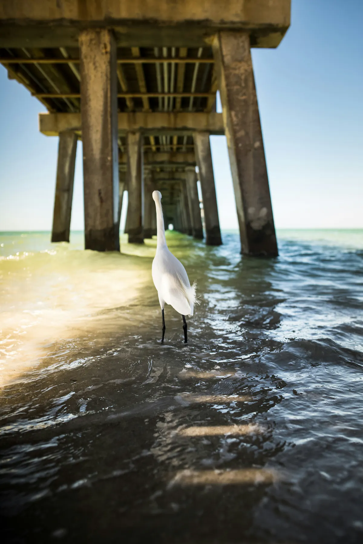bailey rapp RoH9z1ulpTw unsplash