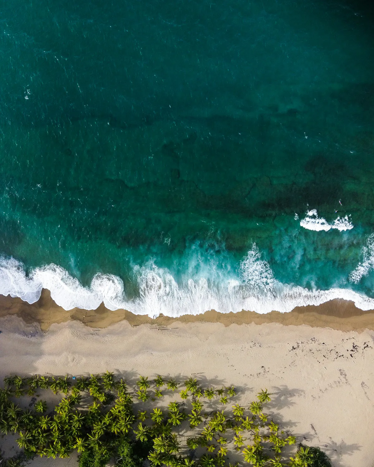 benjamin lizardo d OoxMOAIgU unsplash