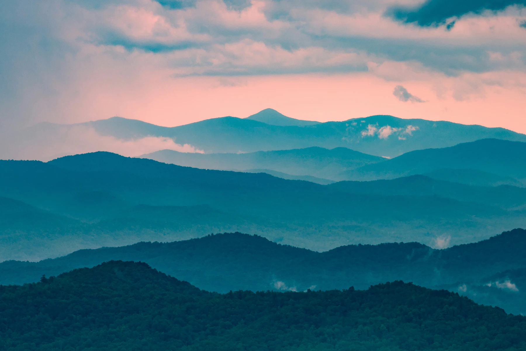 bradley allweil c2xLHa 3L8c unsplash