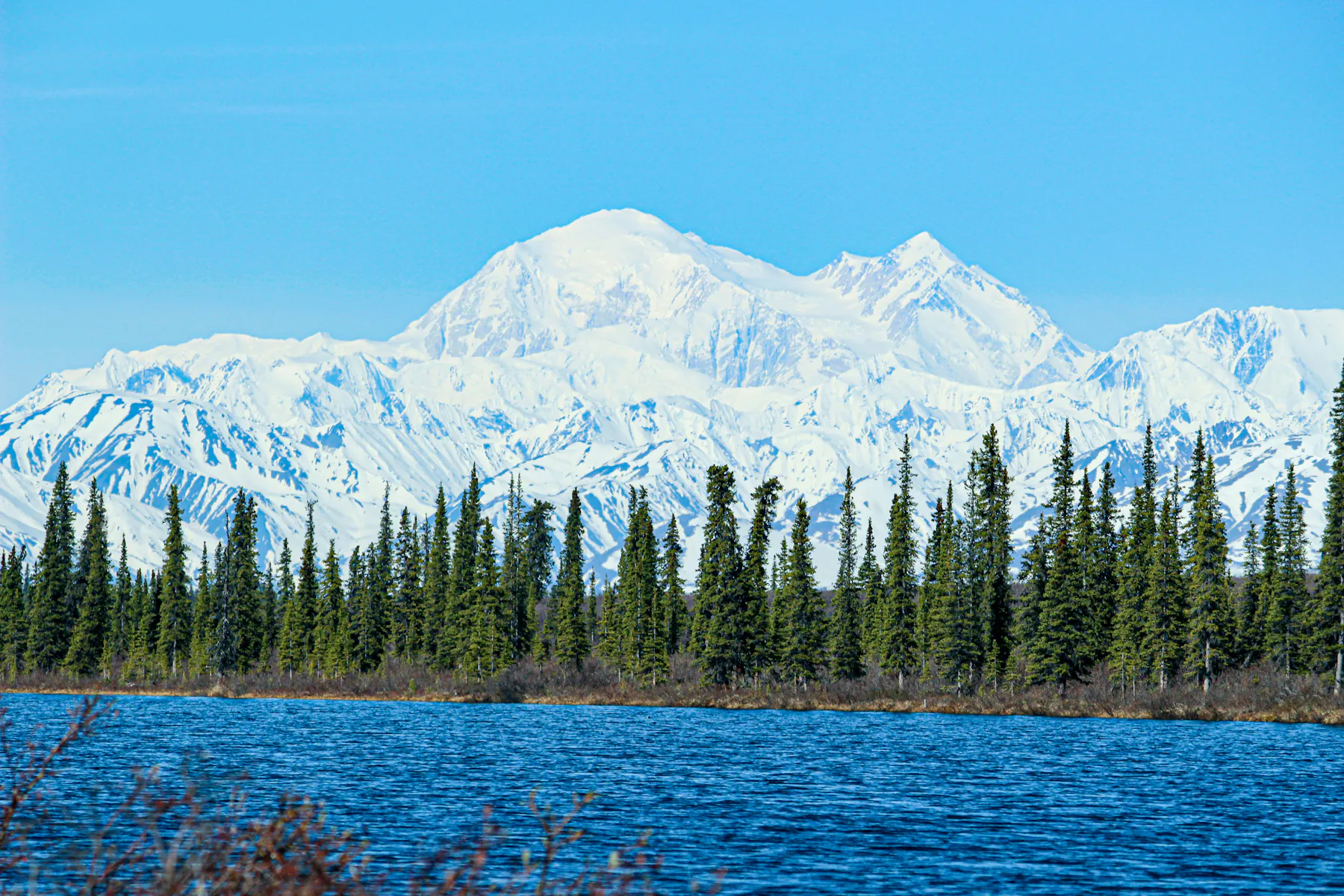 bryson beaver qRKBRsmeLPg unsplash