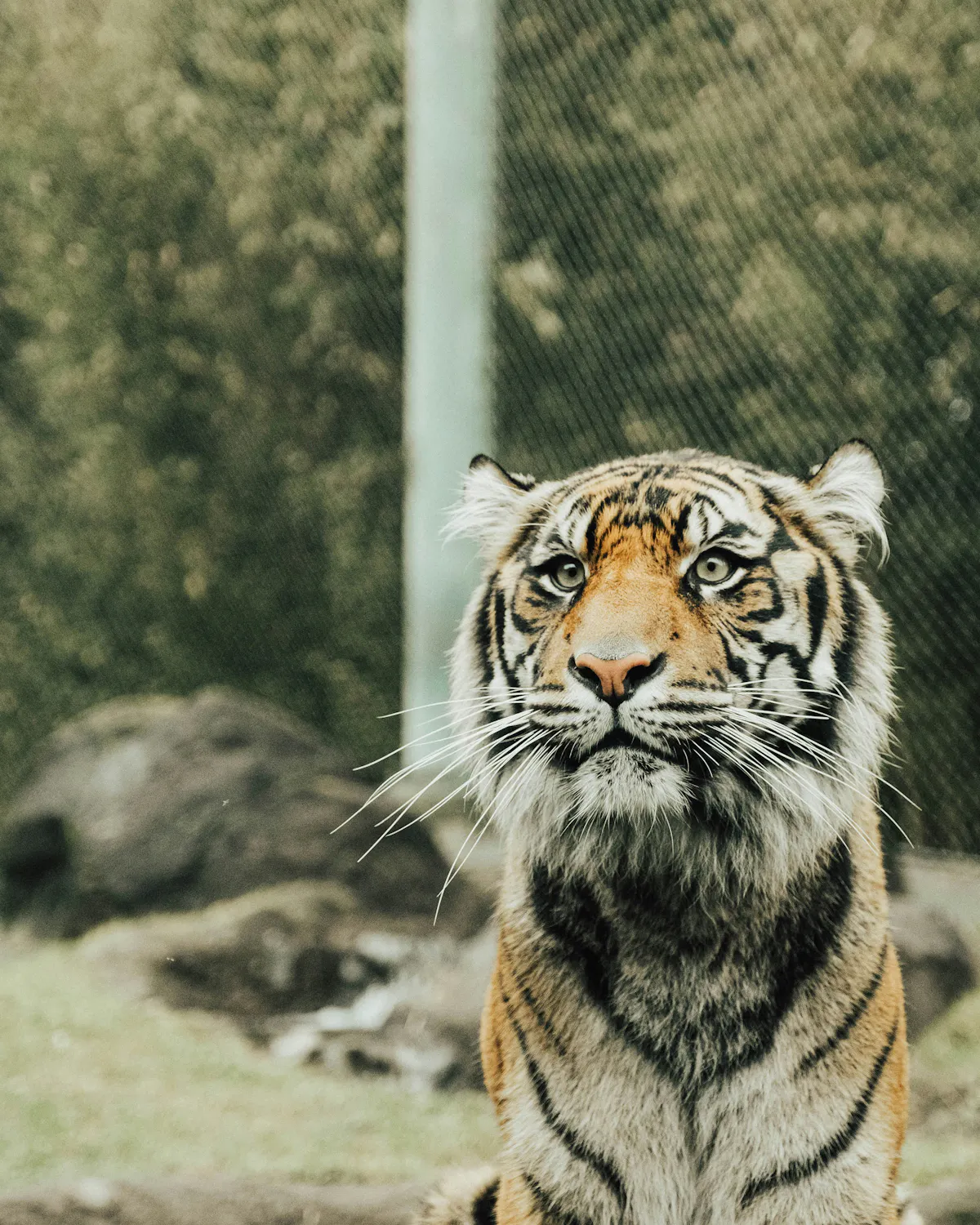 casey olsen S7T0ToTRsKg unsplash