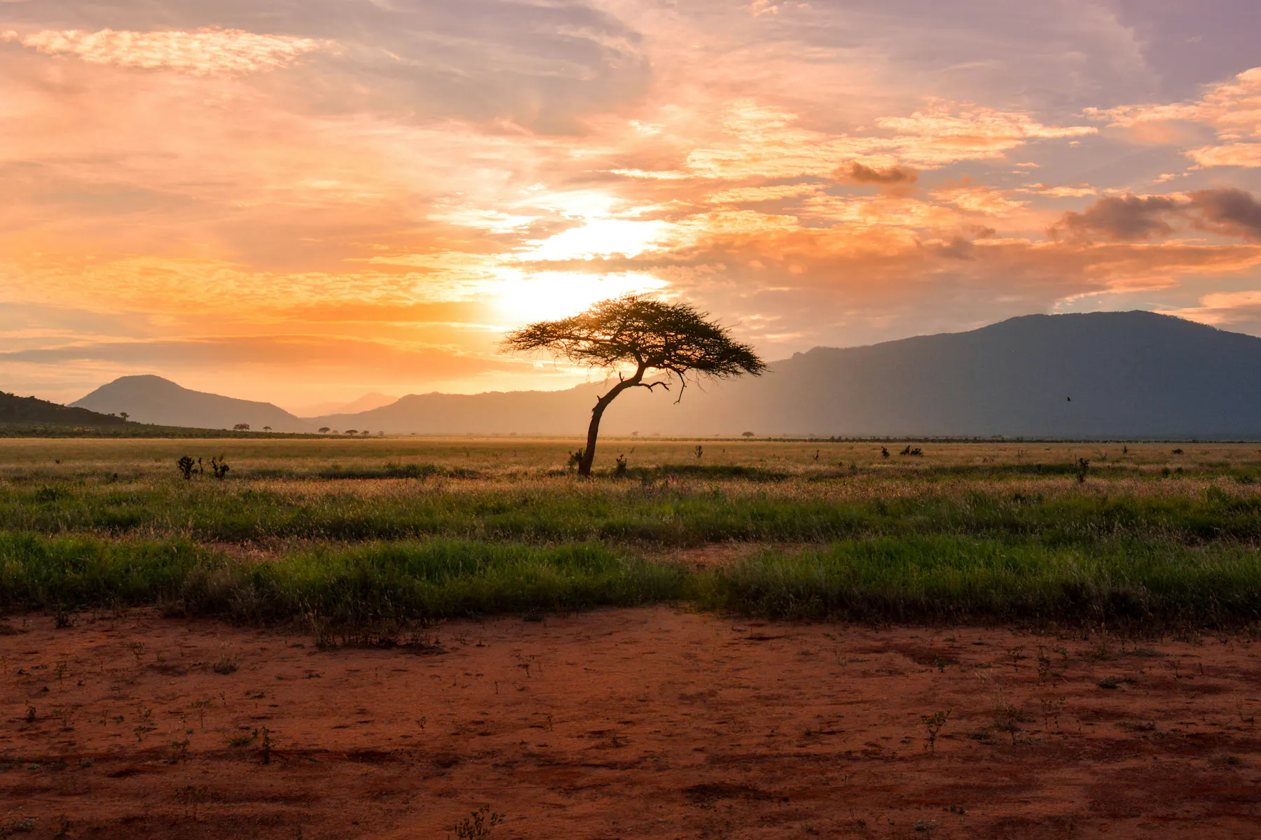 damian patkowski T LfvX 7IVg unsplash2