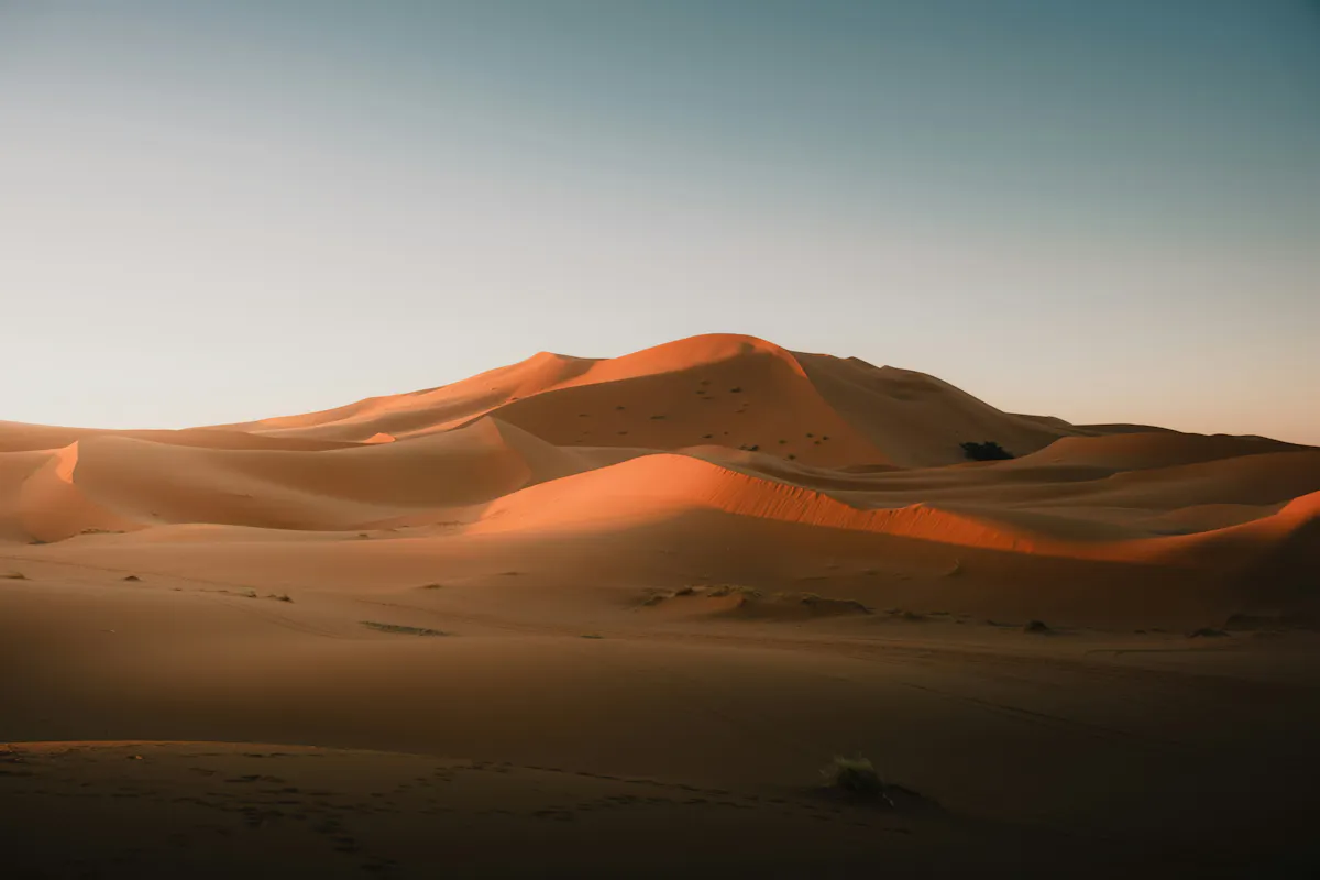 daniel j schwarz HBP8g ZPQAs unsplash2