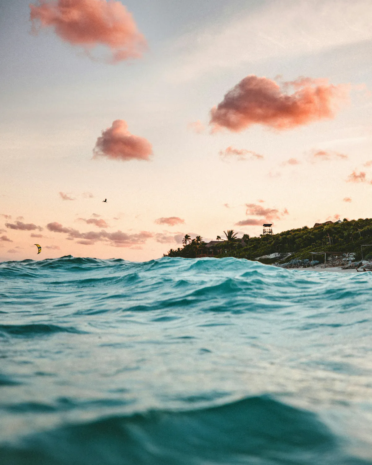 earth eCohyQiC qg unsplash
