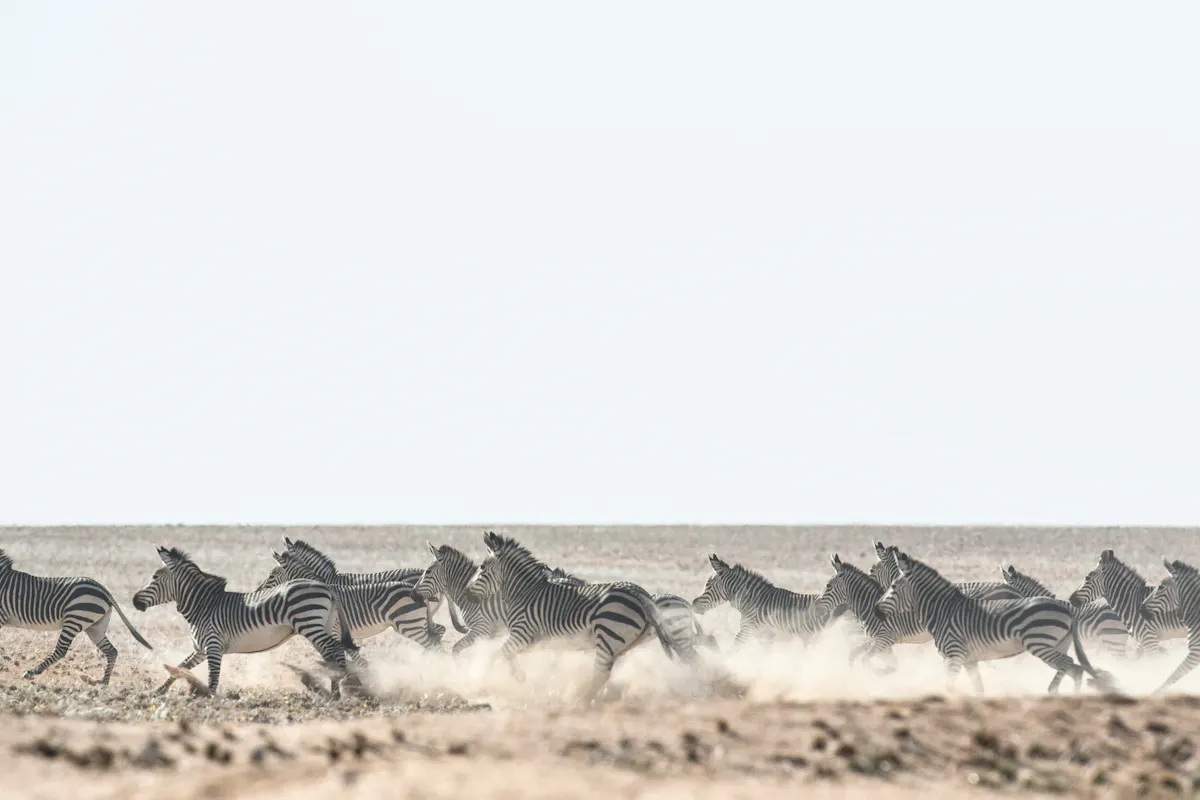 getty images UKuZuwQsxg4 unsplash