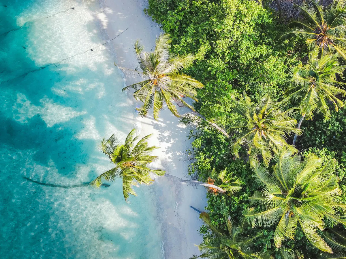 hamdhulla shakeeb PR8aepE62vE unsplash