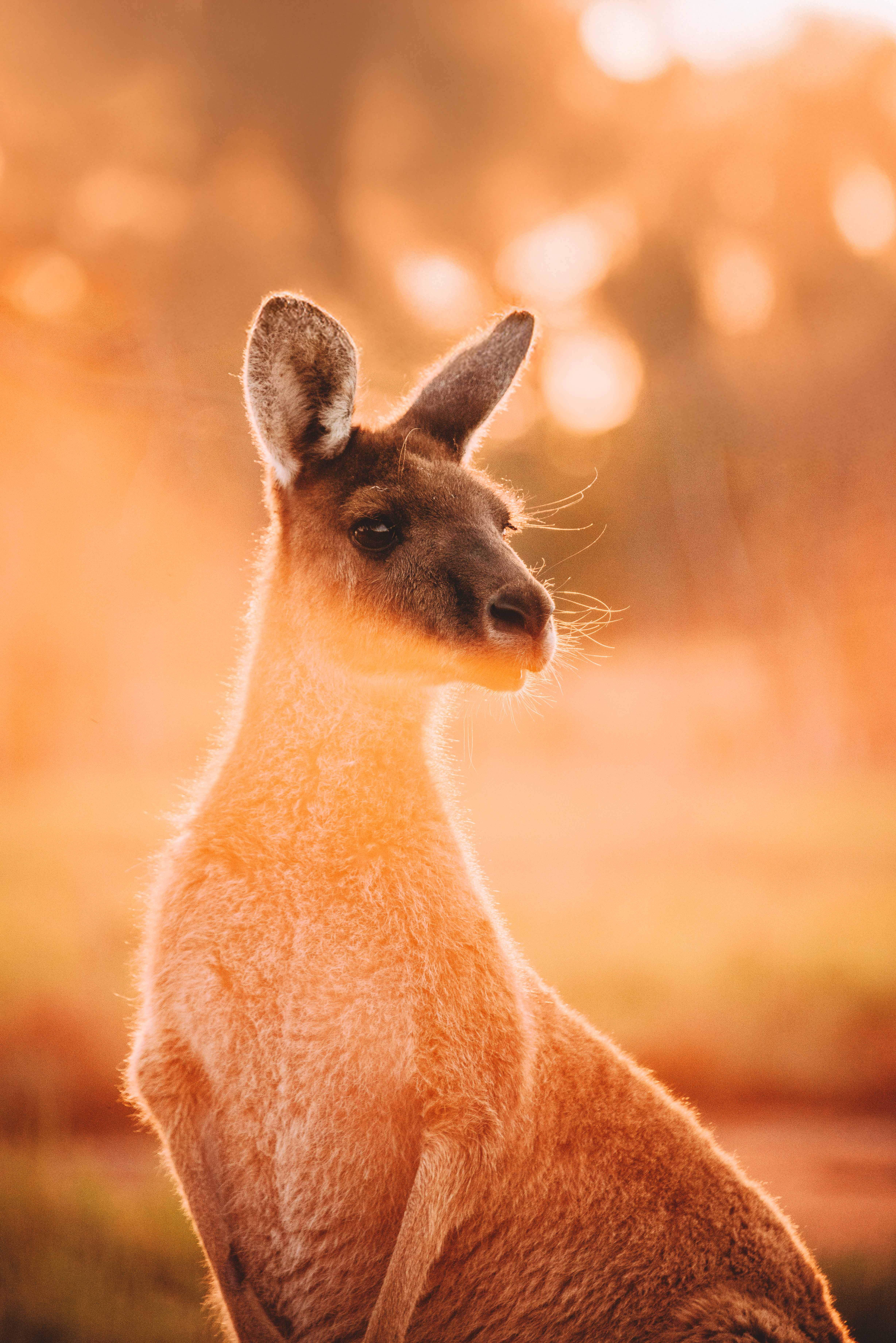 iStock 635729606 klein2