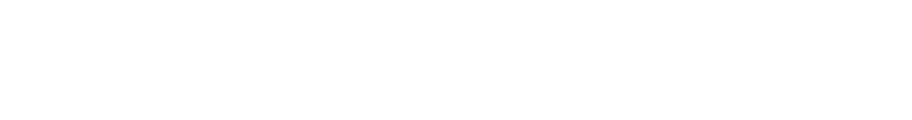 Feinreisen