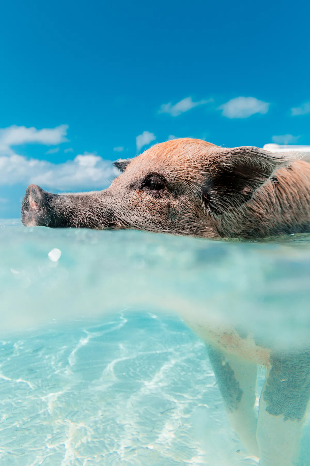 jakob owens bEwKUiMvsLM unsplash
