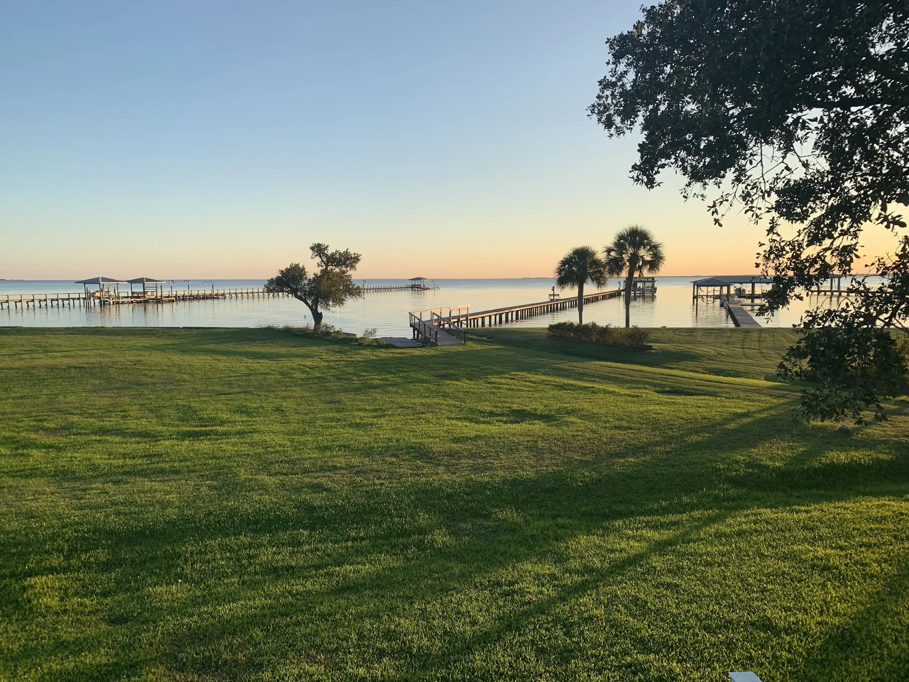 janiemorris1977 louisiana 4569131