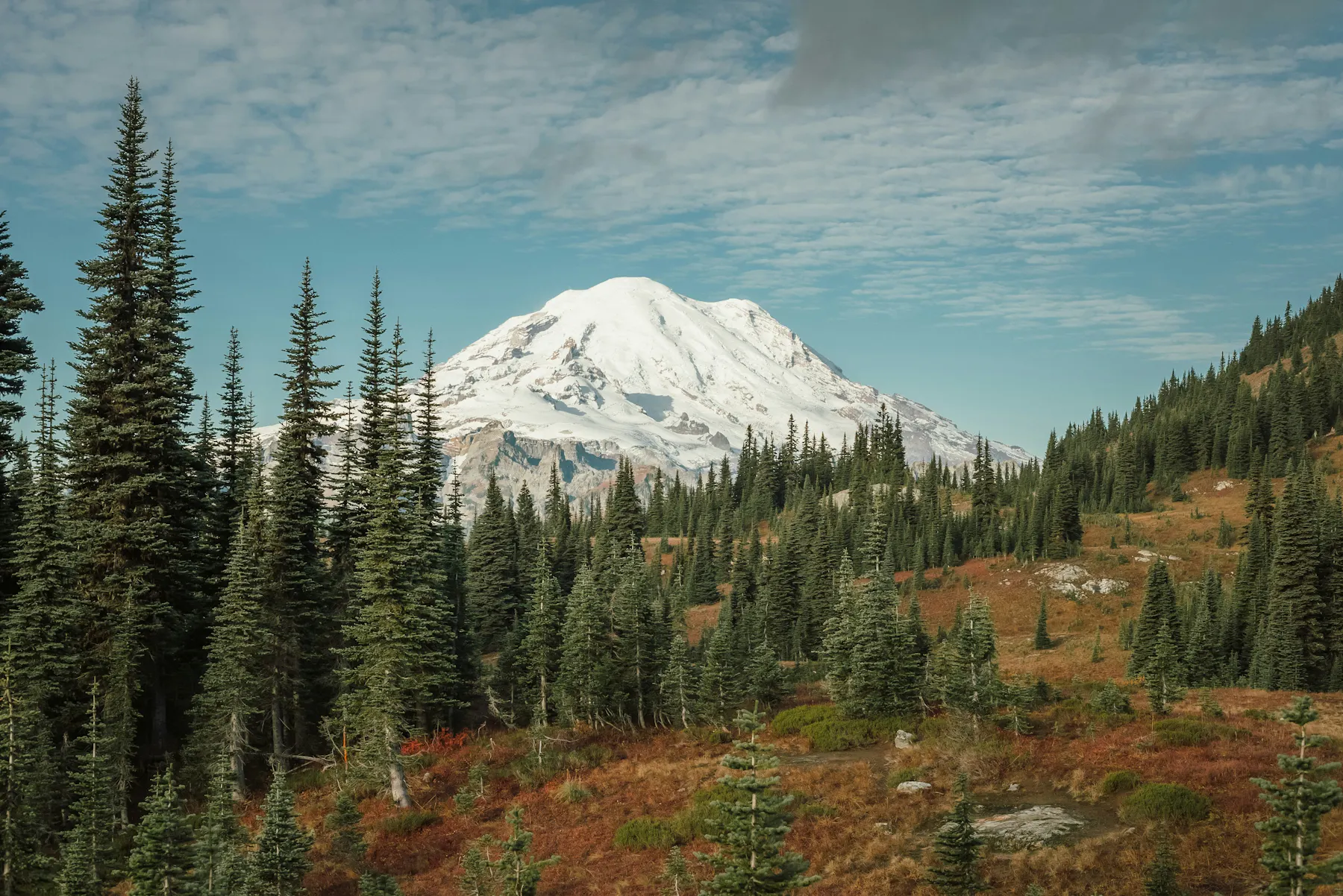 josh hild VWRXqUT cJA unsplash