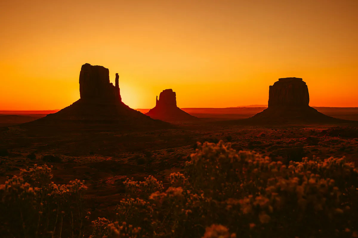 joshua earle H4GL1O4Kuxo unsplash2
