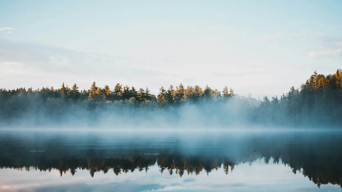 matthieu petiard fSUiELRw9l0 unsplash